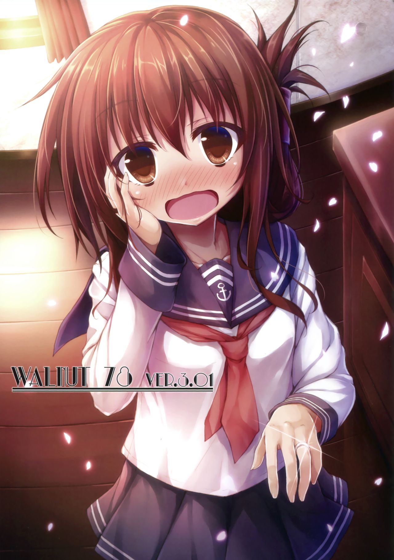 (C91)  [Sui-en (Sui-en)] WALNUT78 10th (Kantai Collection -KanColle-) page 24 full