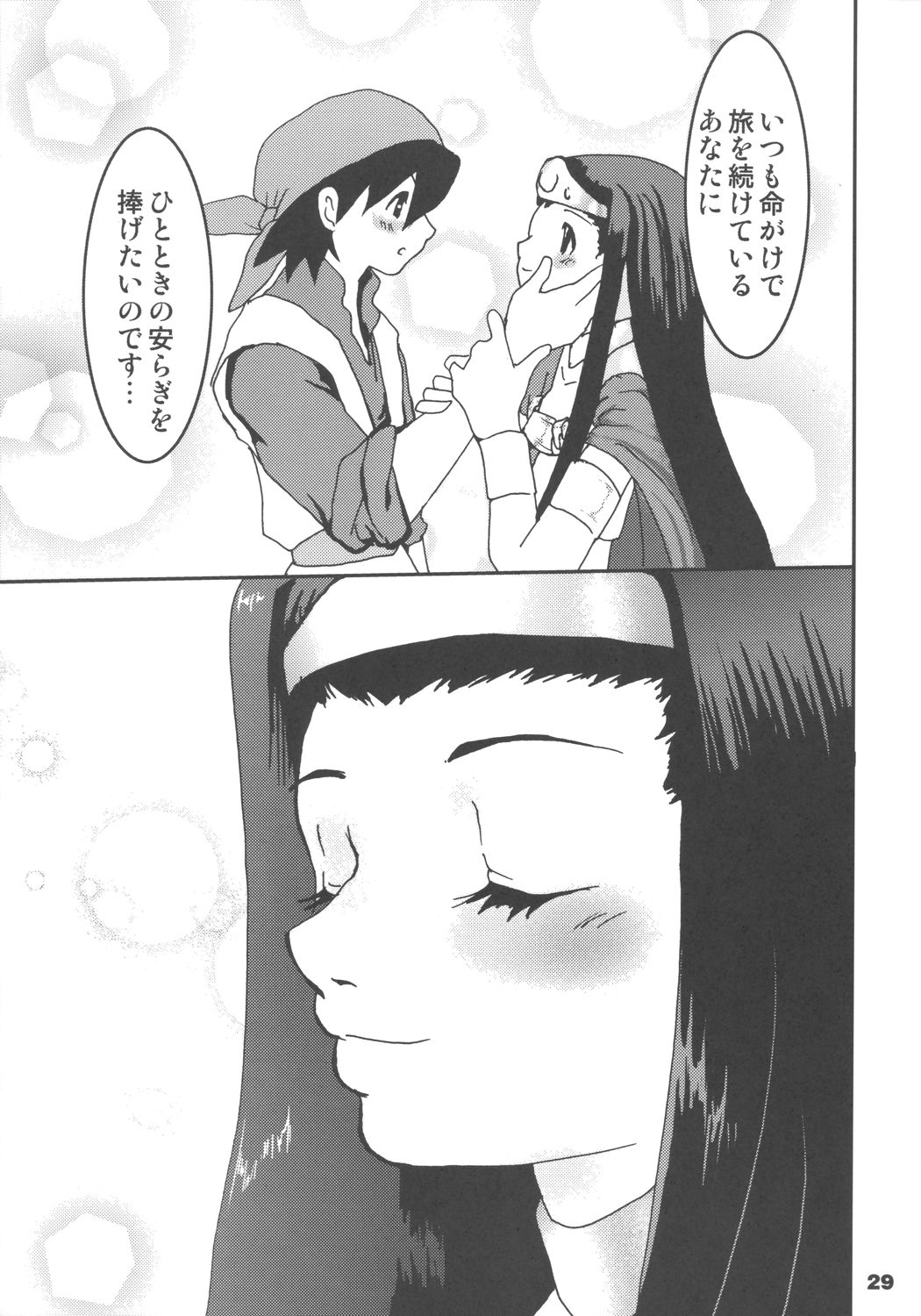 (SC27) [URAN-FACTORY (URAN)] Himegimi ni Shukufuku wo (Dragon Quest VIII) page 28 full