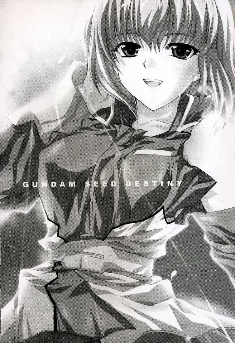 [FANTASY WIND] L-S (Kidou Senshi Gundam Seed Destiny) page 2 full