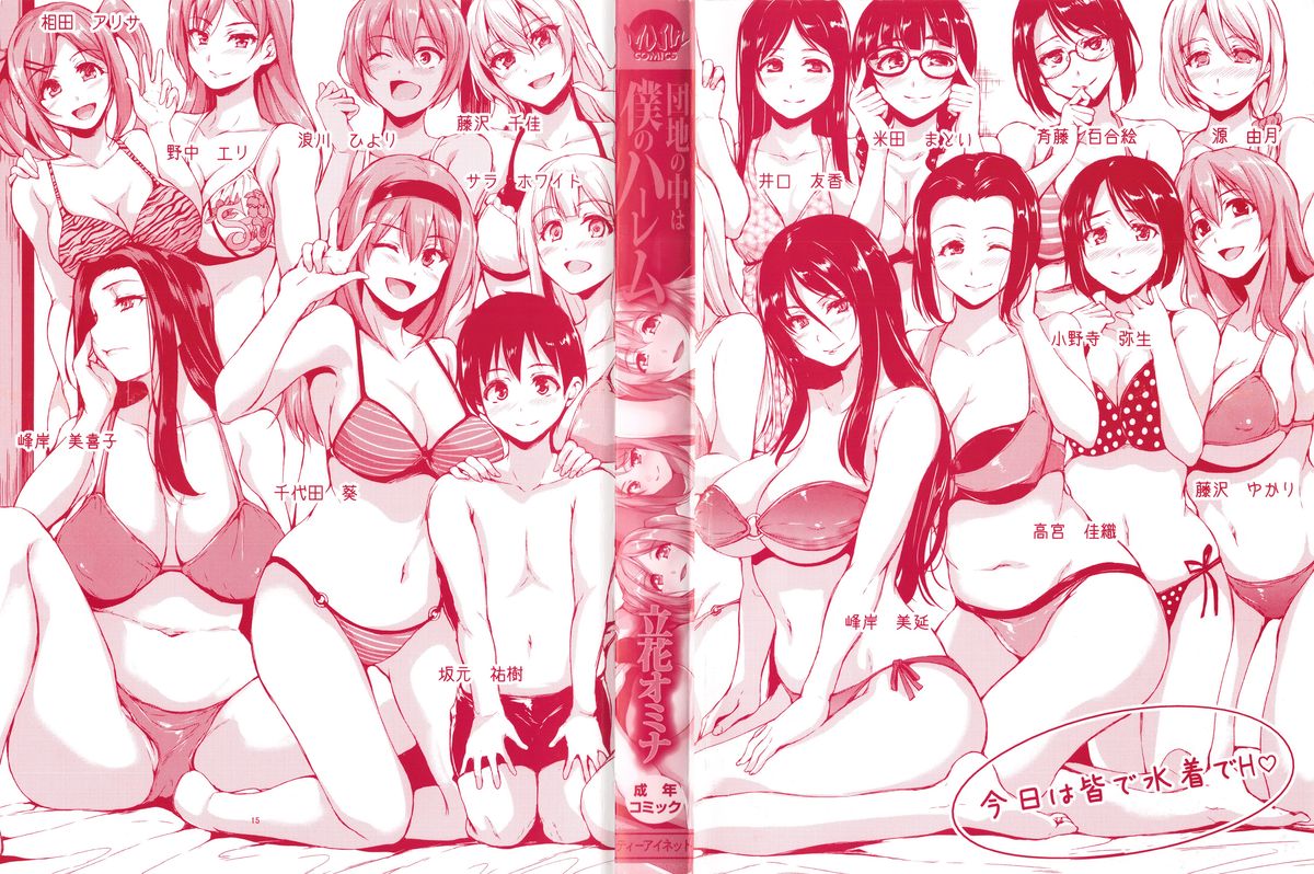 [Tachibana Omina] Danchi no Naka wa Boku no Harem - My Harem is the Apartment Complexes page 205 full
