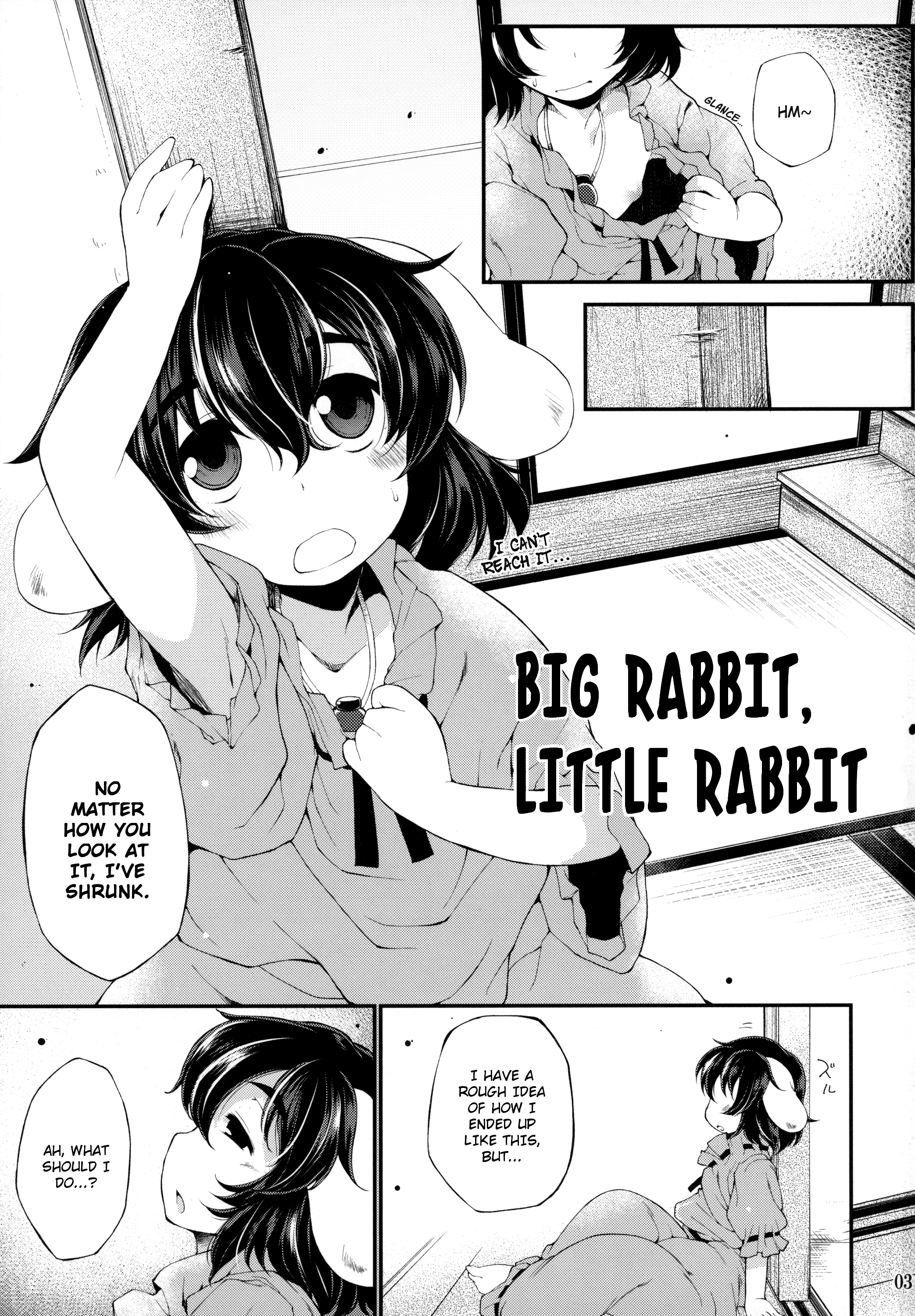 (C87) [IncluDe (Foolest)] Ookina Usagi Chiisana Usagi | Big Rabbit, Little Rabbit (Touhou Project) [English] [rqwrqw] page 2 full