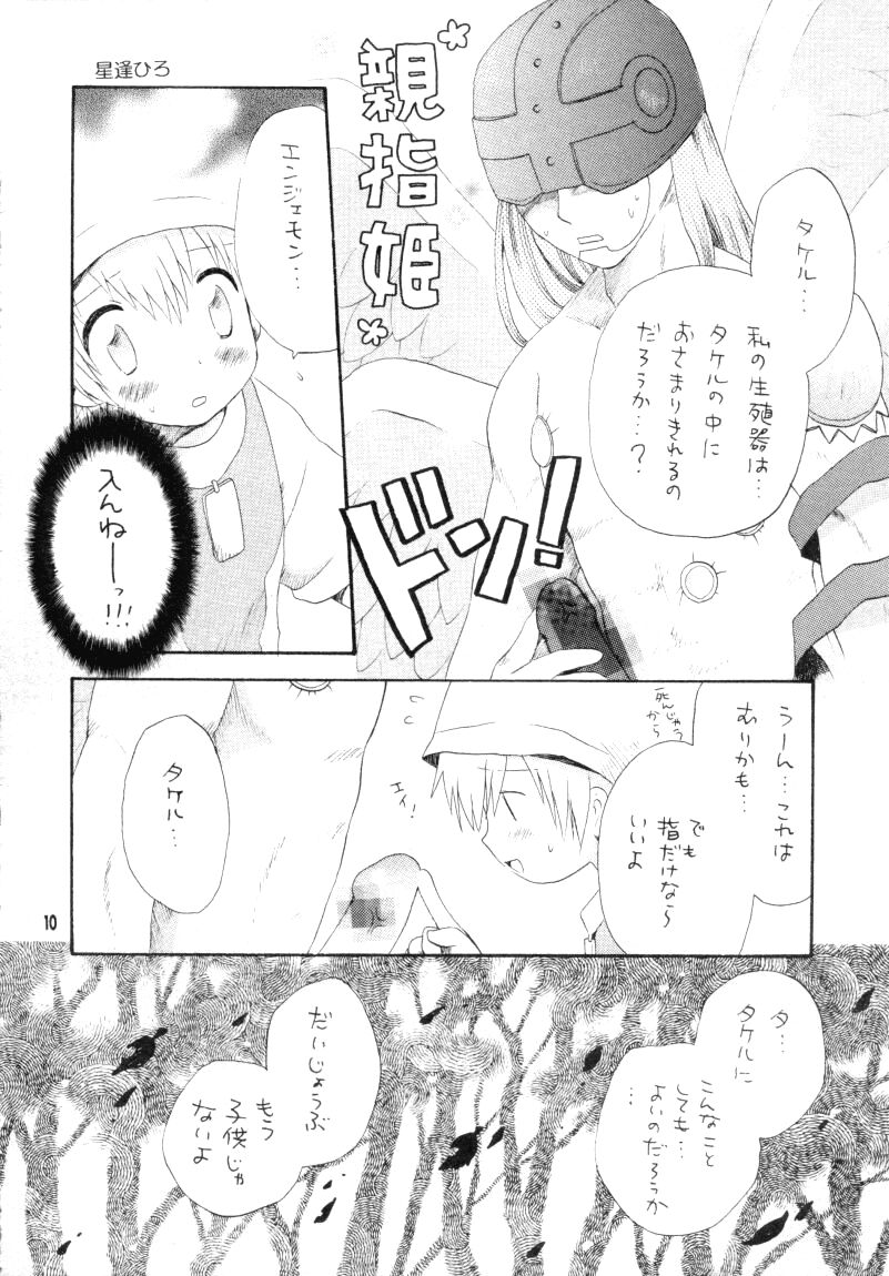 (CCTokyo96) [Haniwa Mania, Kuruguru DNA (Pon Takahanada, Hoshiai Hiro)] Bokura No Jogress World (Digimon Adventure 02) page 10 full