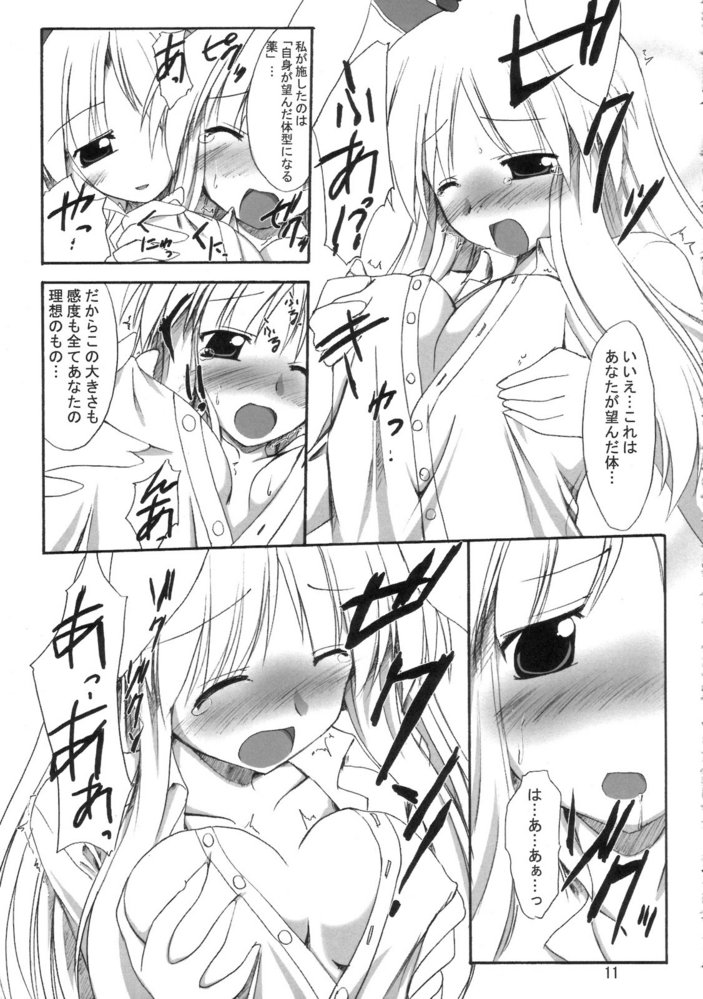 (SC33) [Yuugen Jikkou (Gonzaburo-)] Mousou Tsukinousagi (Touhou Project) page 10 full