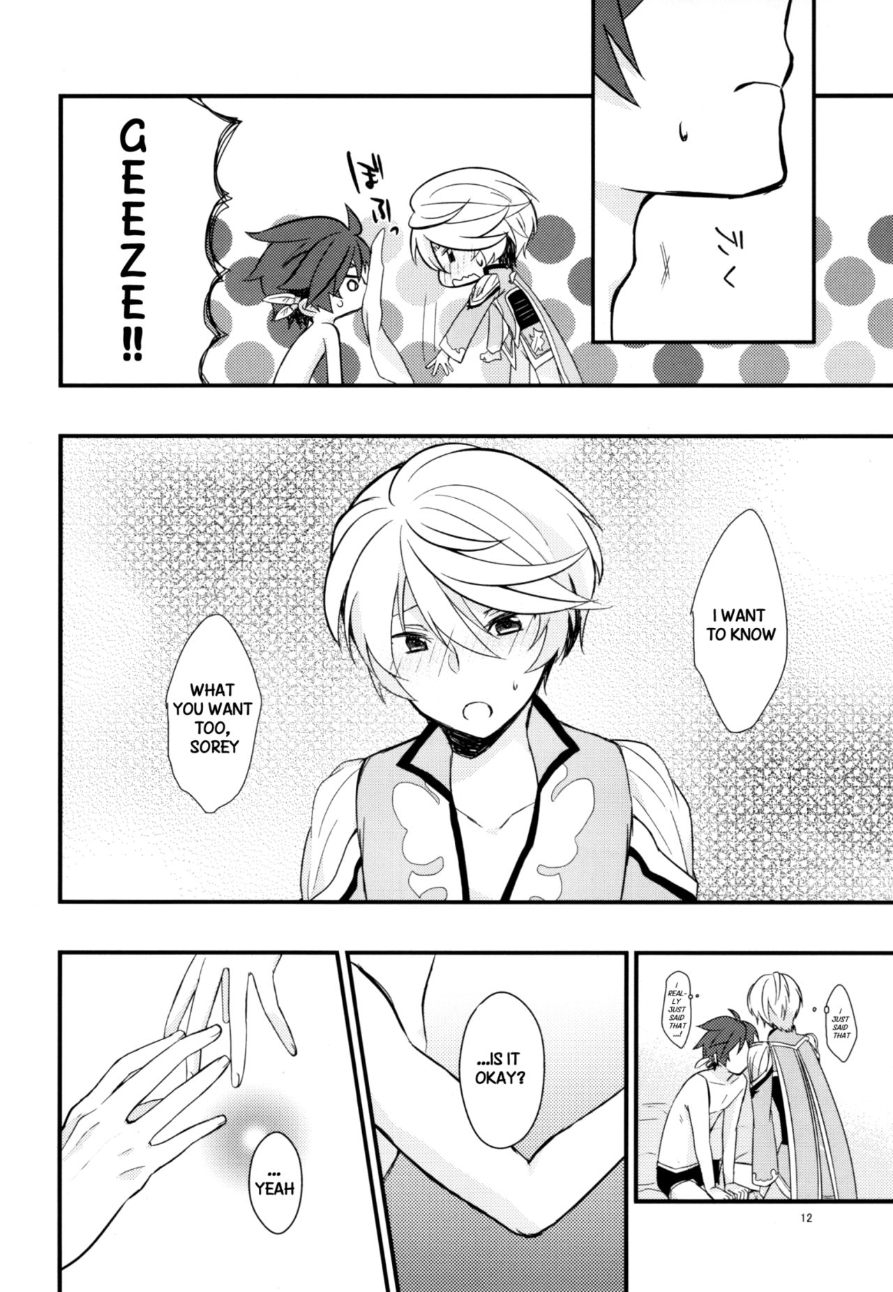 [Wicoa (Sezaki)] Sonna no Tokkuni, (Tales of Zestiria) [English] {TheRobotsGhost / Shinjisan} page 11 full