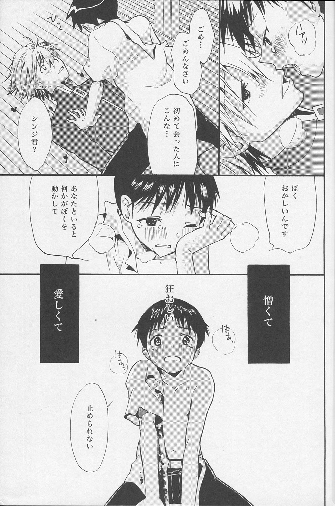 (C77) [RAYTREC (Fuyunagi Reku)] +PLUS (Neon Genesis Evangelion) page 18 full