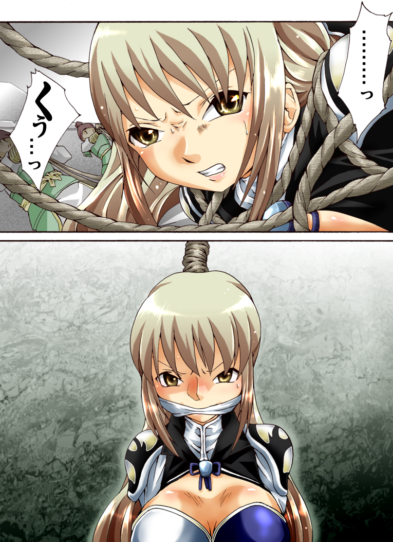 [Atelier Hachifukuan] Suiki Kagobaku ~Hobaku Sarete~ (Dynasty Warriors) page 3 full