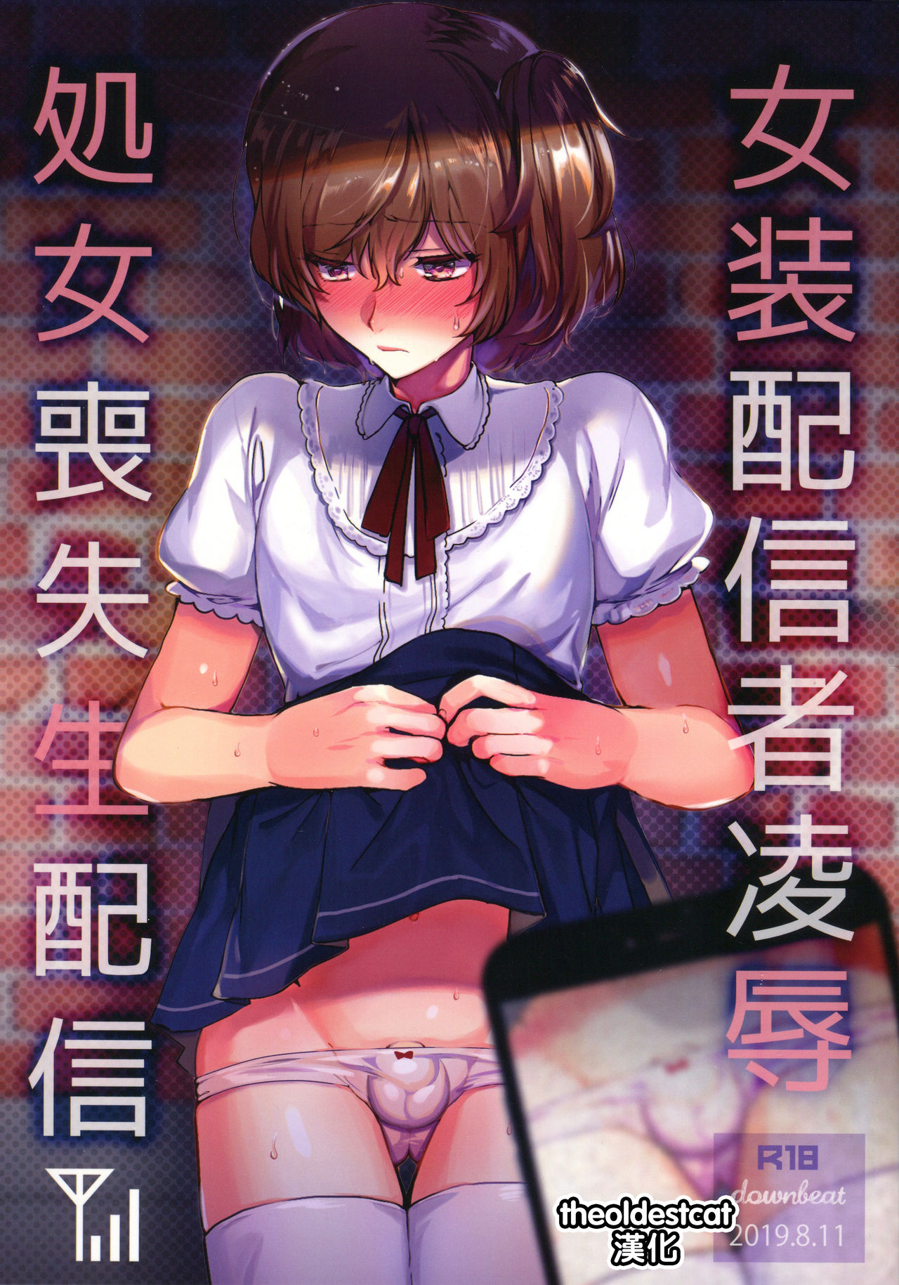 (C96) [downbeat (Kirimoto Yuuji)] Josou Haishinsha Ryoujoku ~Shojo Soushitsu Nama Haishin~ [Chinese] [theoldestcat汉化] page 1 full