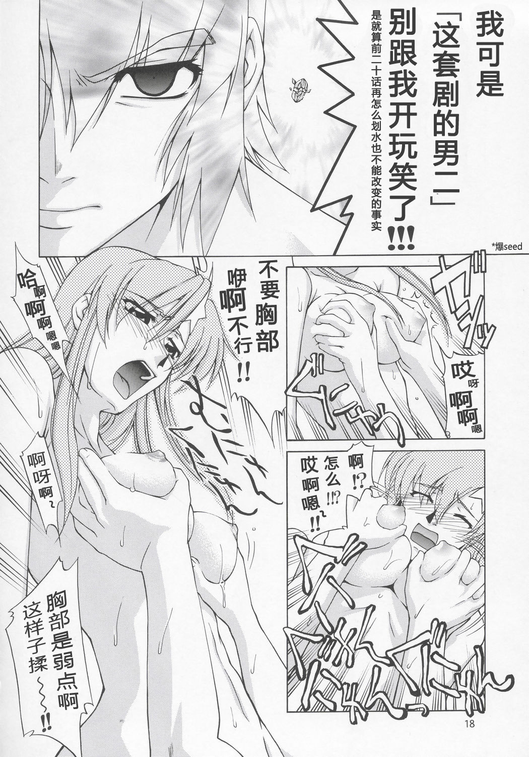 (C68) [Gold Rush (Suzuki Address)] Meer-san Desutte ne! (Gundam Seed Destiny) [Chinese] [graviton个人汉化] page 17 full