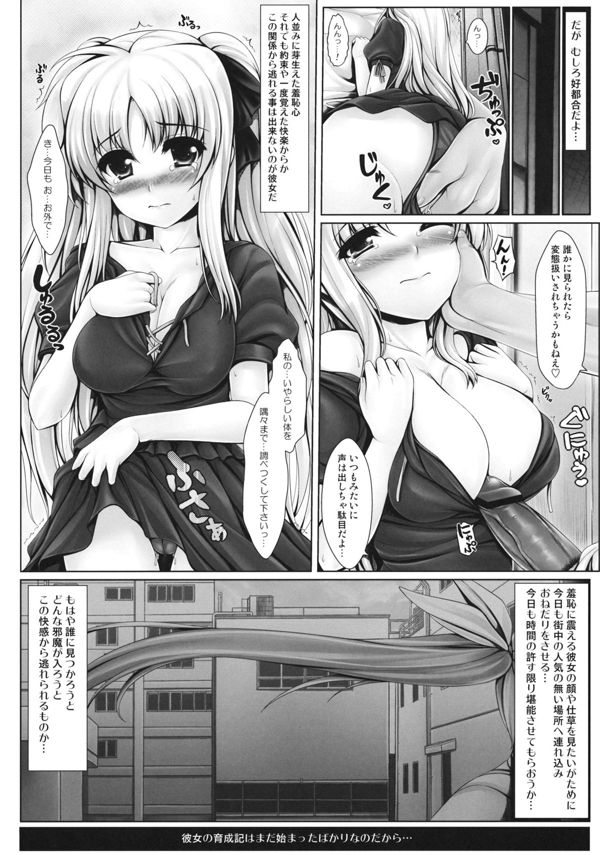 (C81) [Uni no Tane] Jinkou Mahou Shoujo Ikuseiki Jou (Mahou Shoujo Lyrical Nanoha) page 19 full