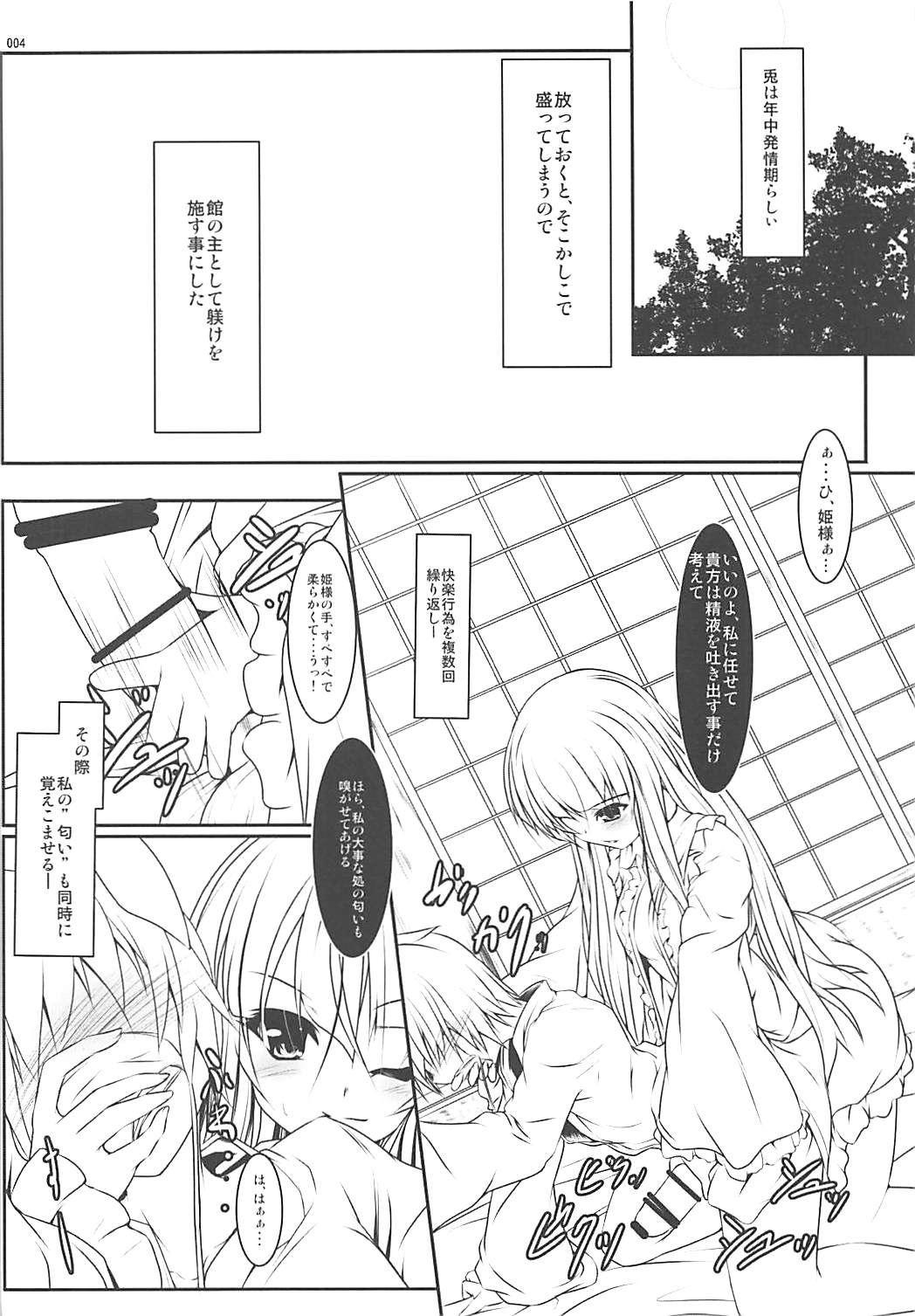 (C85) [Lagrangian-Point (Akatuki Tetora)] Hime-sama Shiki Usagi no Shitsuke (Touhou Project) page 3 full