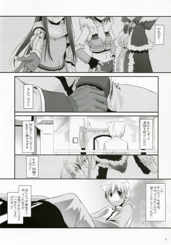 (C73) [Digital Lover (Nakajima Yuka)] D.L. Action 41 (Ragnarok Online) - page 28