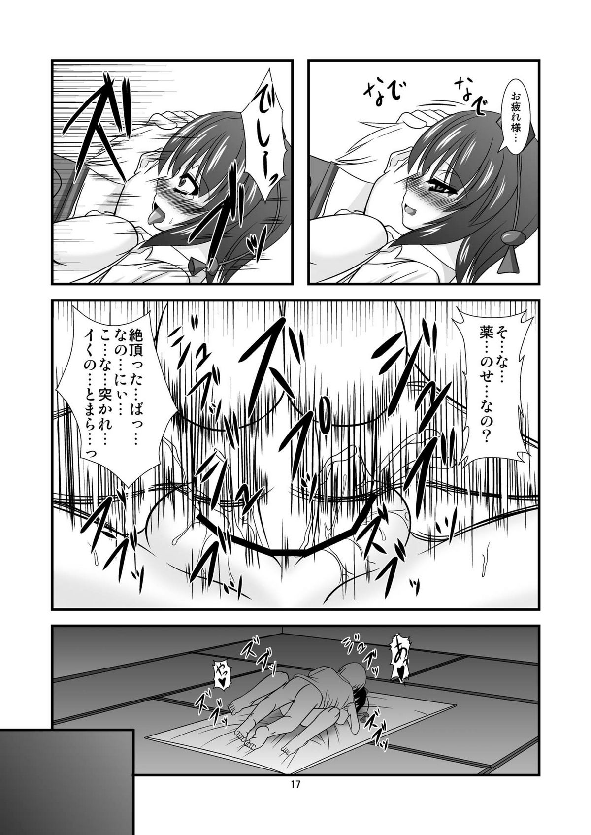 [Endless Requiem] Touhou Dom Hoihoi ~Shameimaru-hen~ (Touhou Project) [Digital] page 17 full