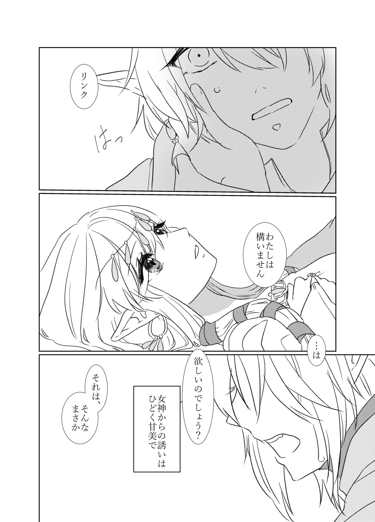 [ふぇる＊まぁた] 夜迷言 (The Legend of Zelda) [Digital] page 4 full