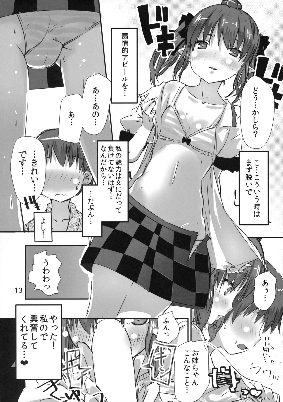 (Reitaisai 12) [Hi-sys. (CL)] Wanchan Hatate Chance (Touhou Project) page 12 full