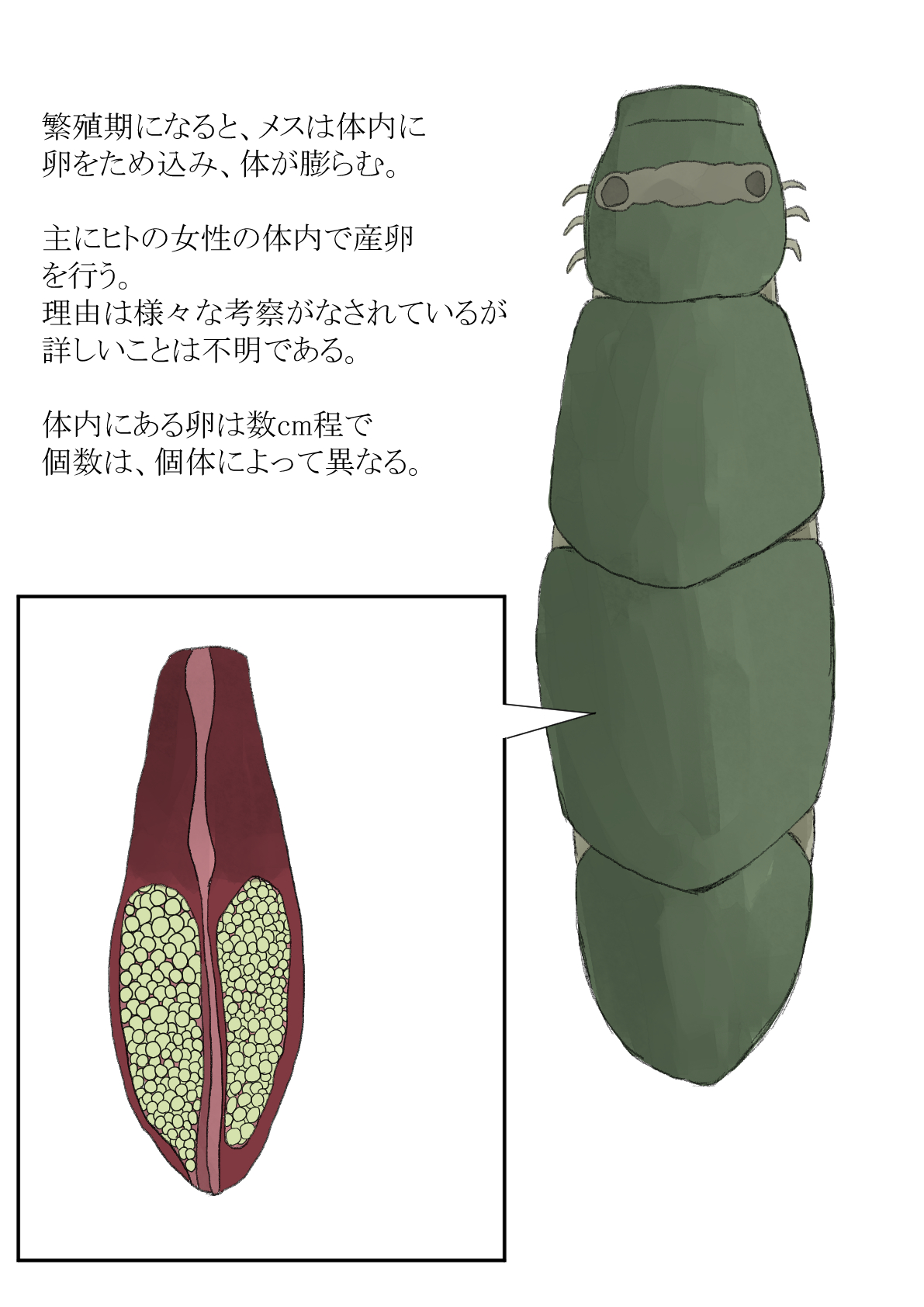 Oomushikaisetuzukan page 7 full