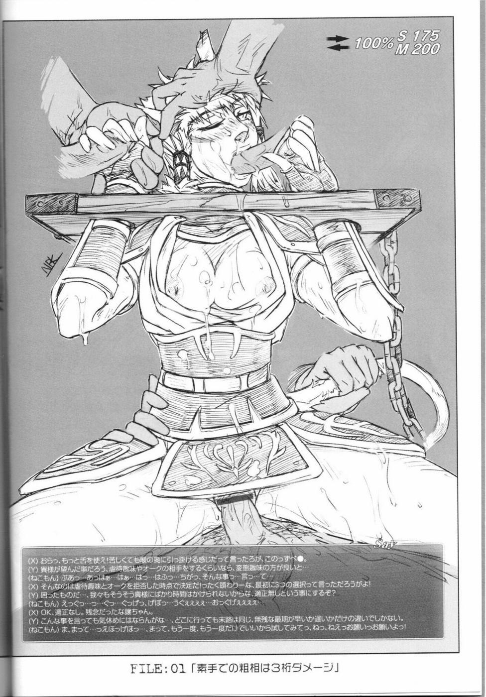 (C67) [NP Virus Jouryuusho (N-P-KATOU)] Mithman Report FILE:00-FILE:15 (Final Fantasy XI) page 5 full