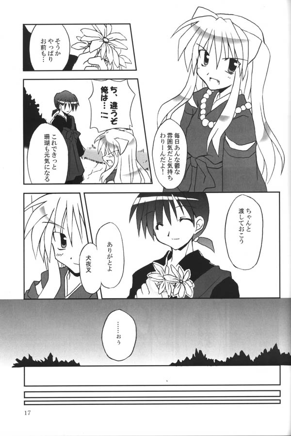 (C65) [Sumitan (Satou Kibi)] Sango-chan no Hon - Dai-san Maku (Inuyasha) page 15 full