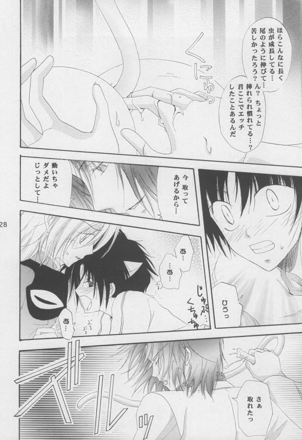 (C68) [Mutsuharu (Kagami Haruki)] Nekomimi Zouryouchuu (Gundam SEED DESTINY) [Incomplete] page 25 full