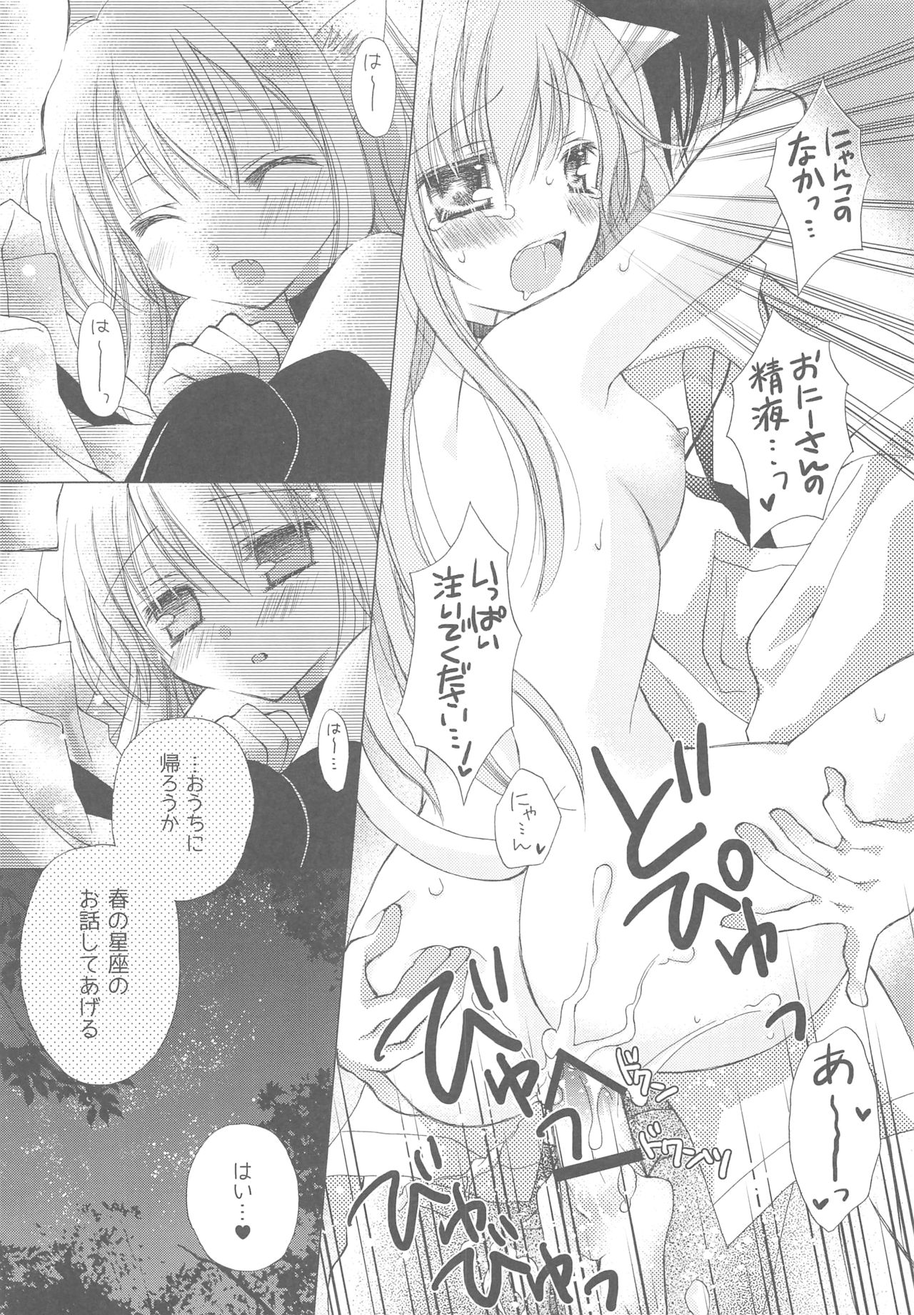 (COMIC1☆13) [TWIN HEART (Kaduki Ryo)] Onii-san to Nyanko Soushuuhen page 27 full