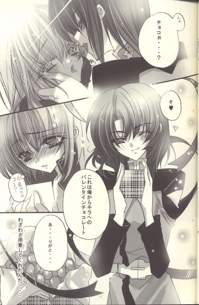 [RIRIADOLL (Takewaka Maru)] Chocolate Time (Mobile Suit Gundam Seed Destiny) page 16 full