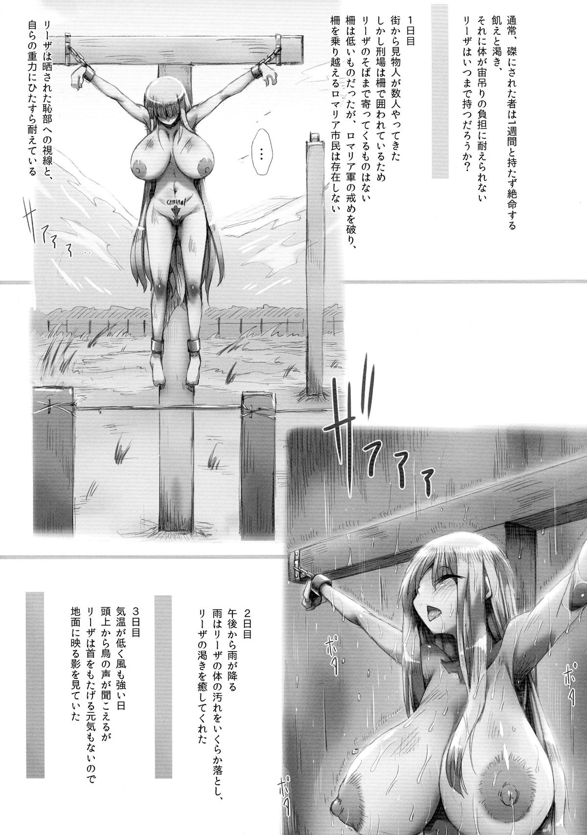 (C87) [GREAT Acta (tokyo)] Horn no Majo Tsukamaeta (Arc The Lad) page 29 full