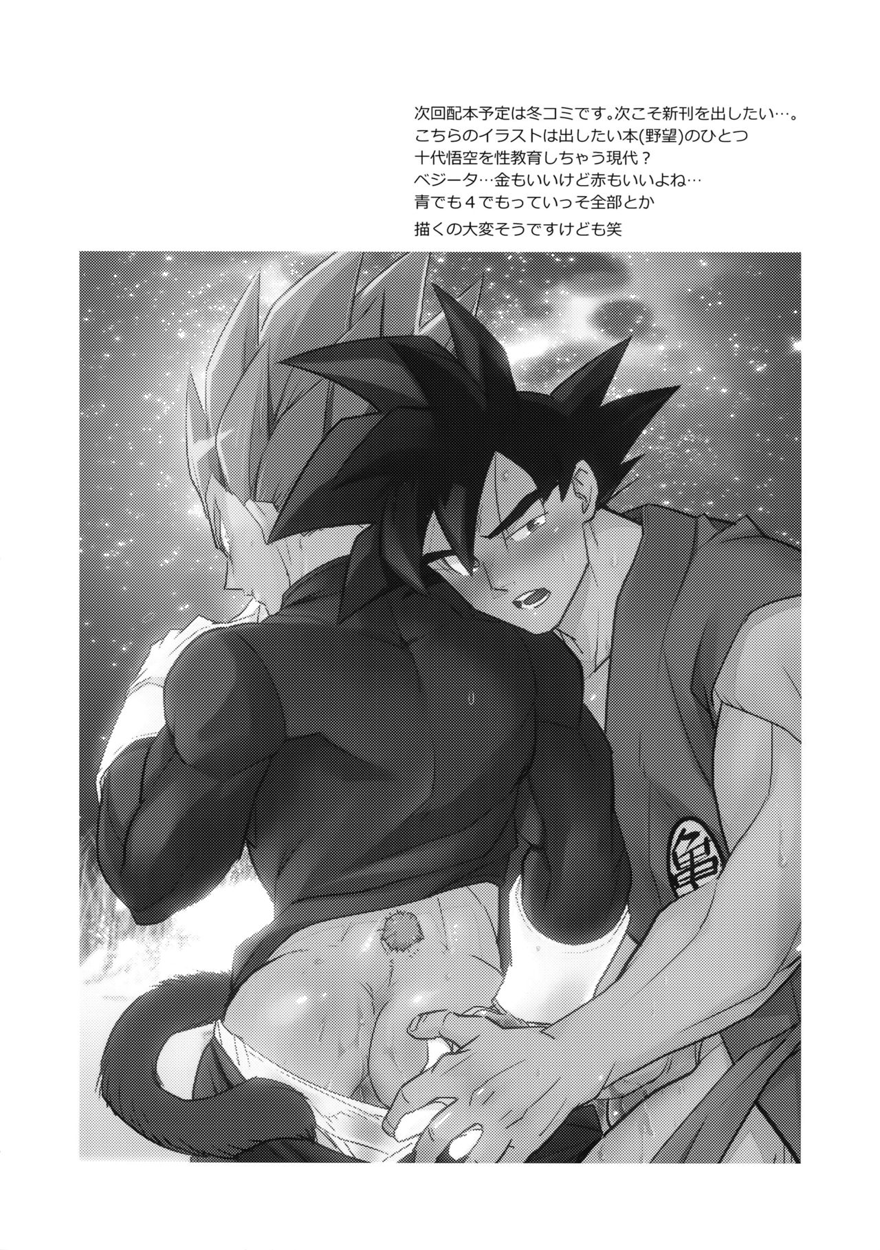 (SPARK14) [Herumon (Runta)] Saiai 2015 (Dragon Ball Z) page 55 full