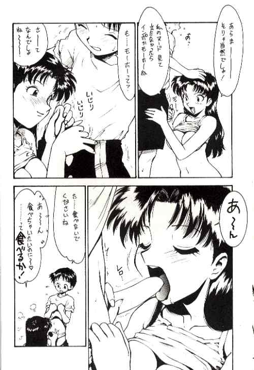 (CR18) [Karmaya (Karma Tatsurou)] Karma II (Neon Genesis Evangelion) page 5 full