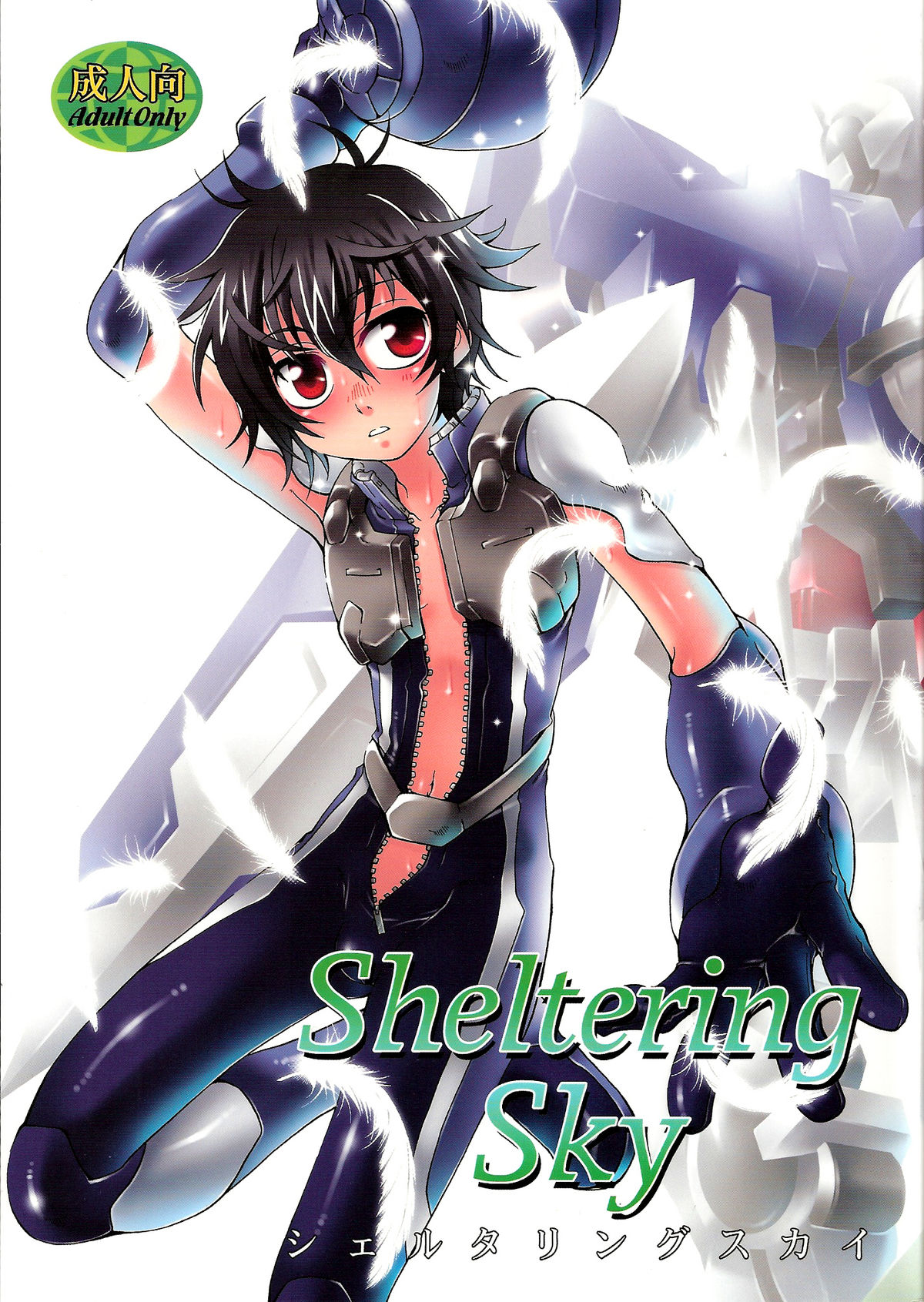 (Lyrical Magical 3) [Luciferhood (Uchoten)] Sheltering Sky (Gundam 00) page 2 full