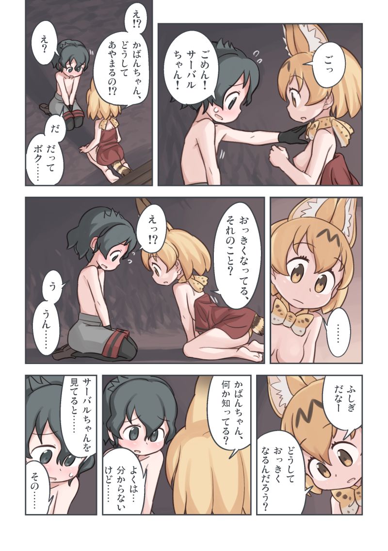 [Wiper Okiba (Quick Wiper)] Takibi (Kemono Friends) [Digital] page 27 full