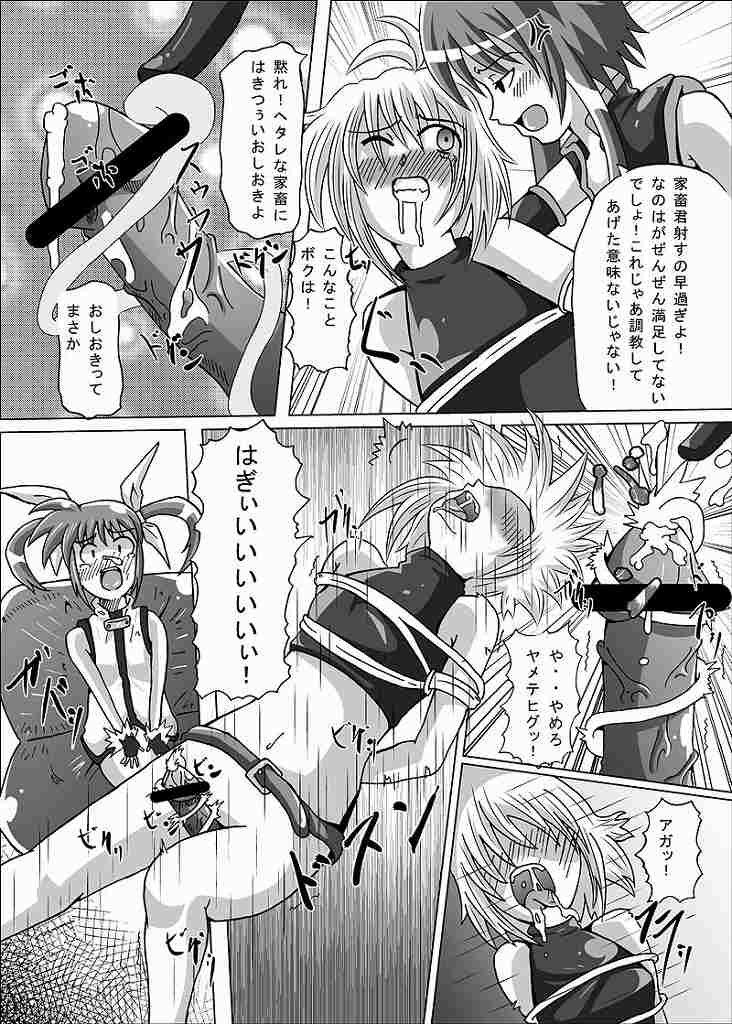 [aka dama tenpo] beni no sho (Mahou Shoujo Lyrical Nanoha) page 26 full