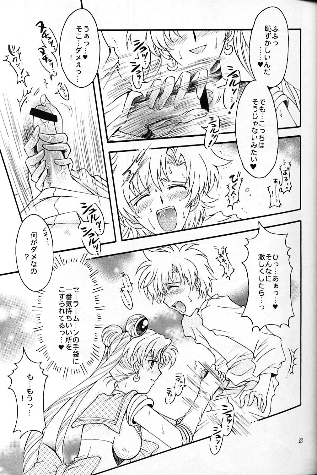 (C67) [Kotori Jimusho (Sakura Bunchou)] chanson de I'adieu (Sailor Moon) page 24 full