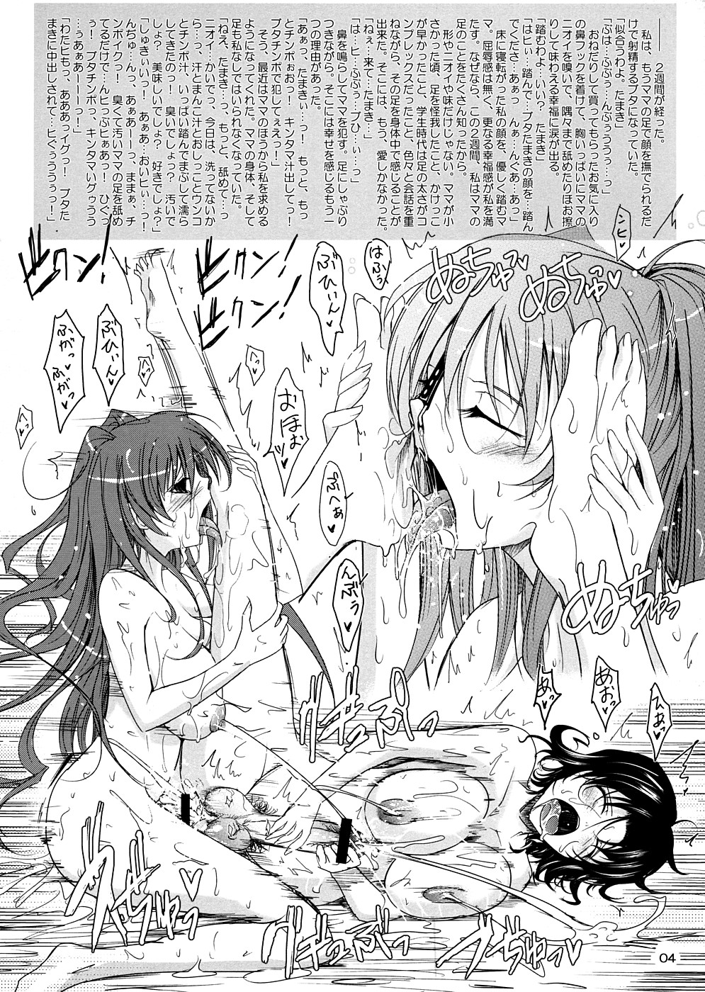 (C74) [Garyuh-Chitai (TANA)] Tama Ane ga Haru Natsu Mama ni...wo Kette Kudasai to Aigan Shichau bon. (ToHeart2) page 4 full