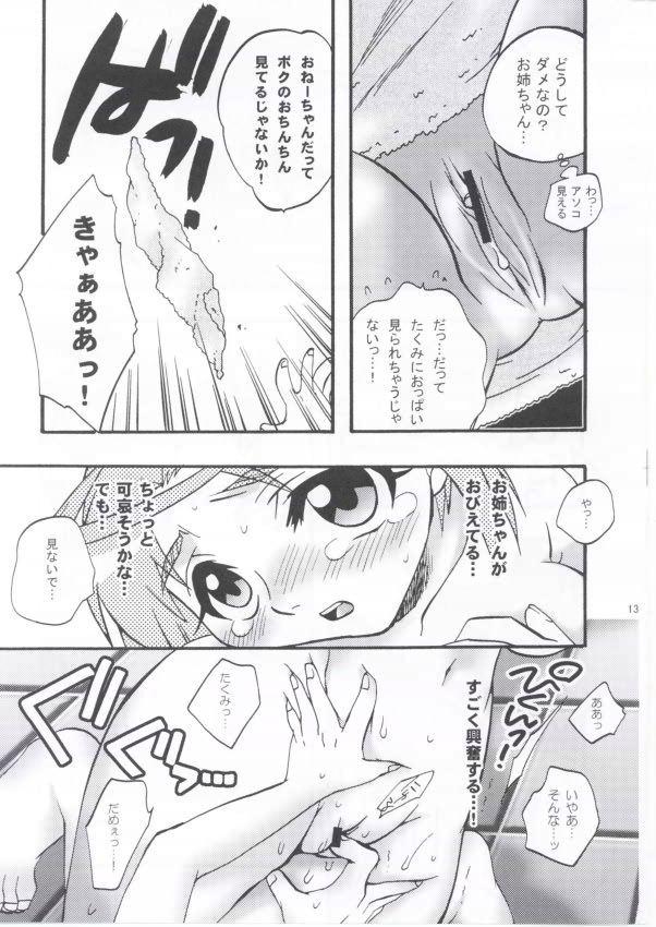 [Kanzen Dokusen (Doubutsu Danchou)] Dorei Ane (Mai-HiME [My-HiME]) page 11 full