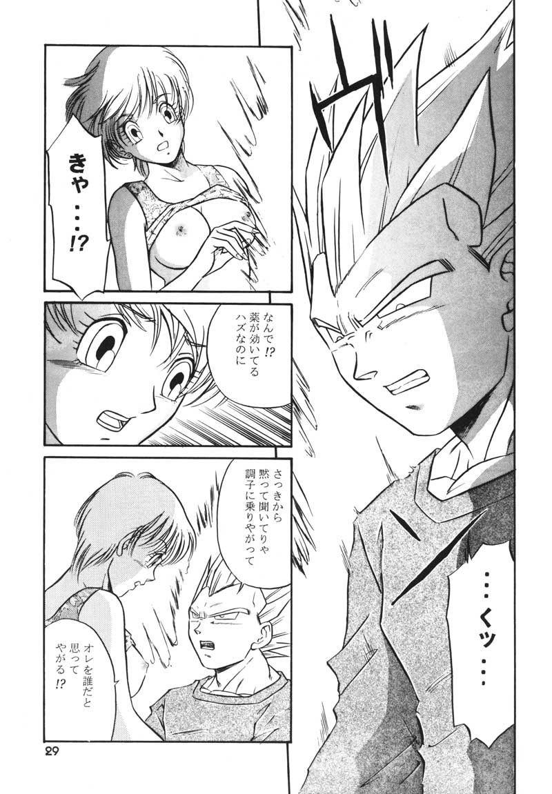 (C63) [Ryujin-kai (HITO Ribuki)] GIFT (Dragon Ball Z) page 27 full