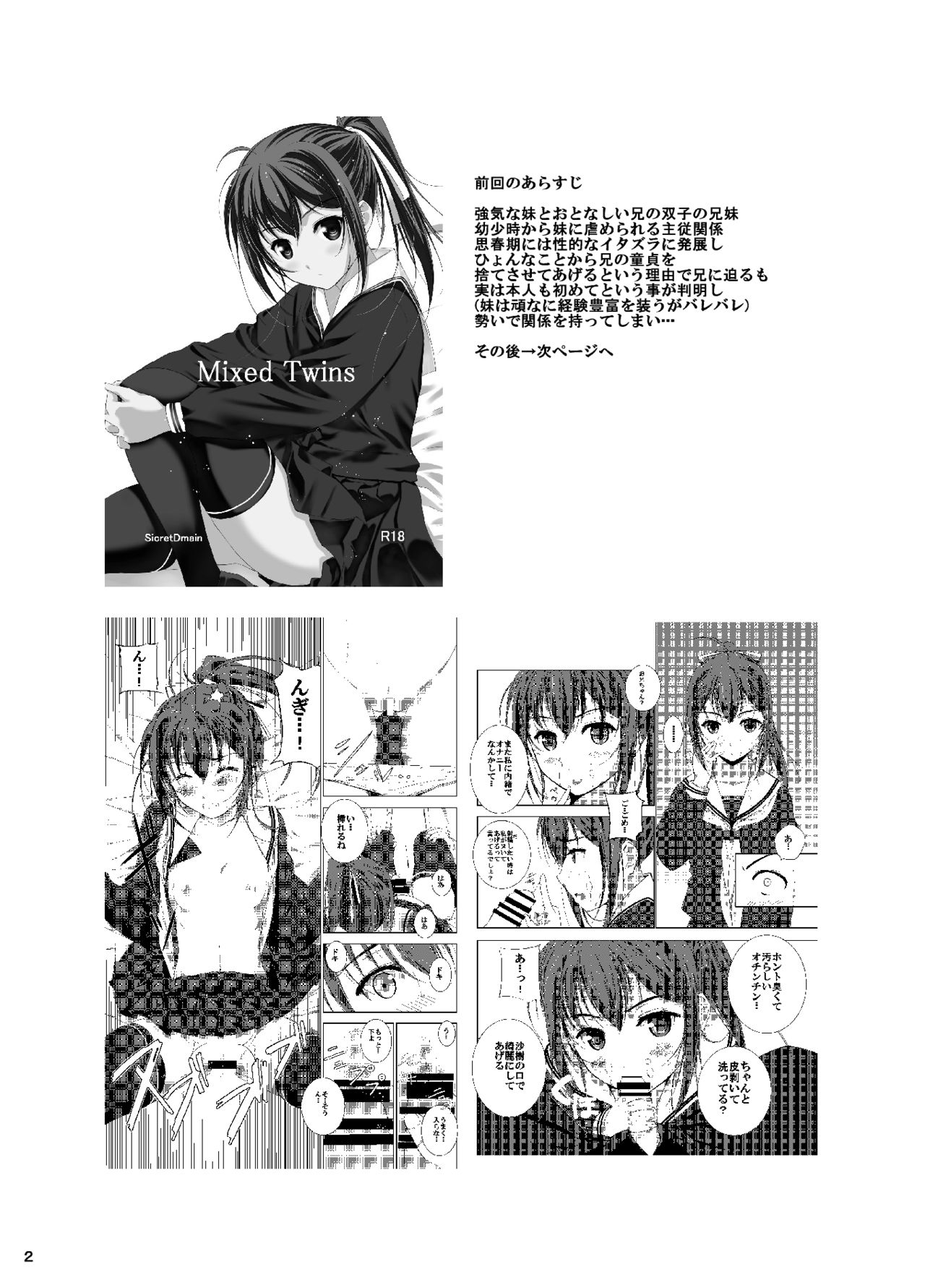 [Secret Dmain] Mixed Twins 2 [Digital] page 4 full