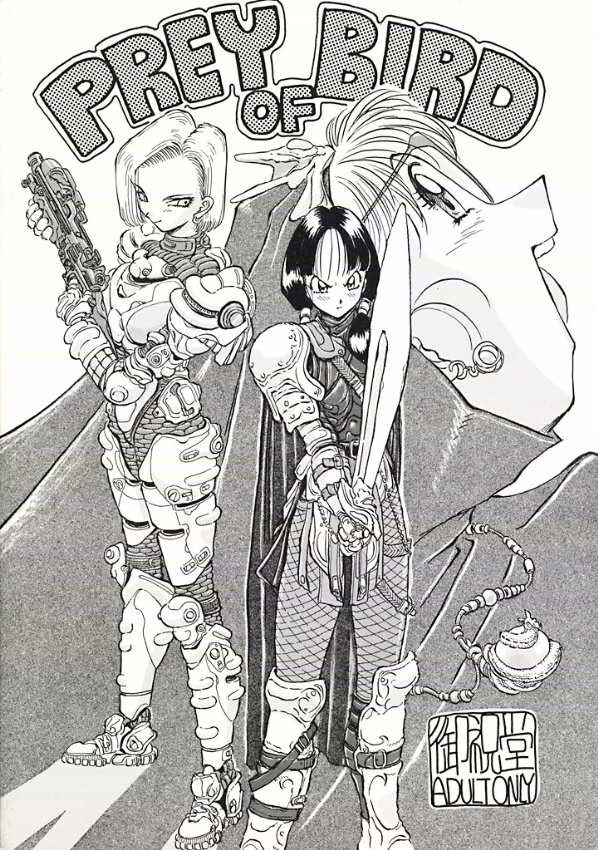 [Oiwaidou] PREY OF BIRD (Dragon Ball) page 1 full