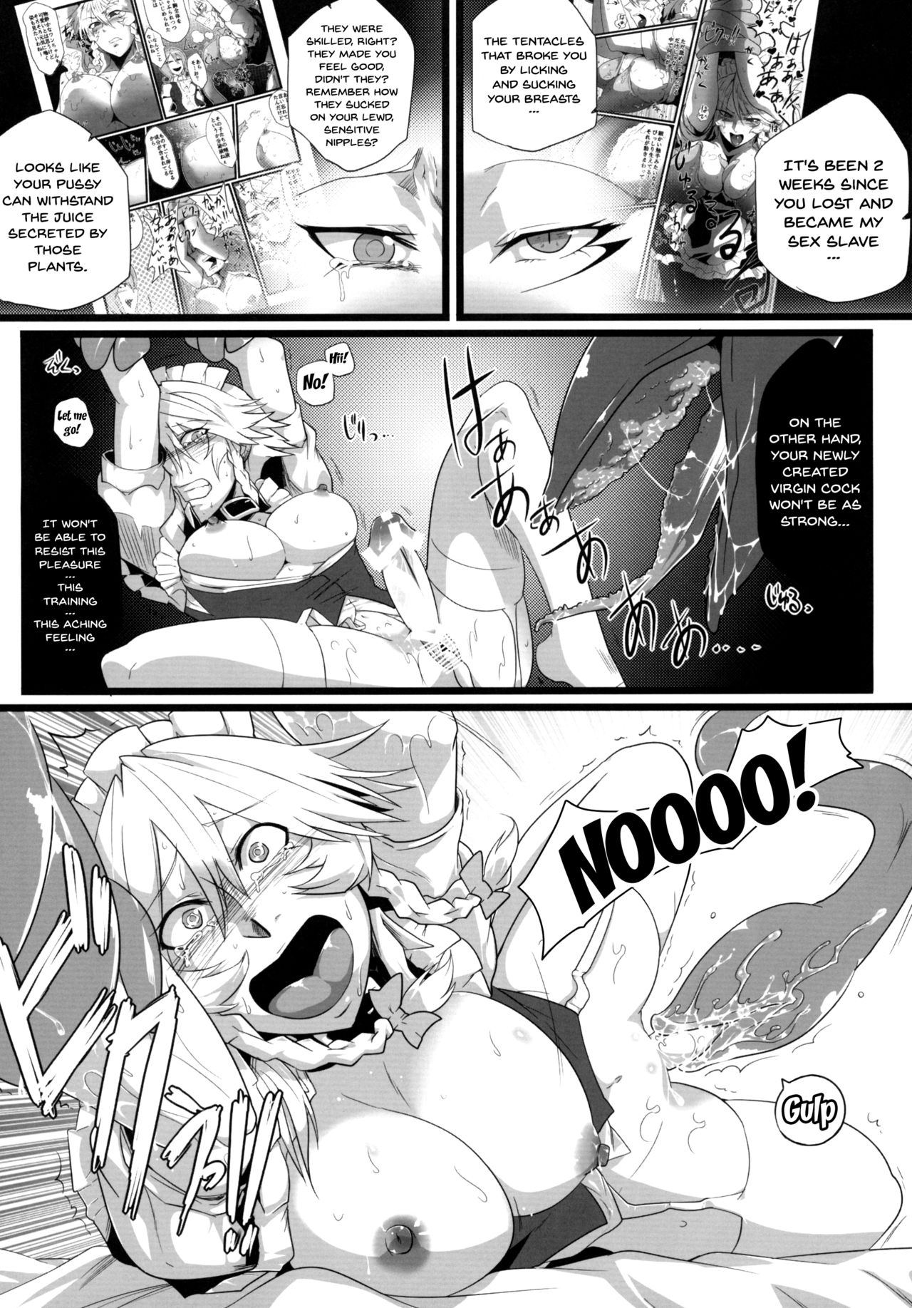 (Reitaisai 9) [Totsugasa (Sagattoru)] Sakuranbou (Touhou Project) [English] {doujins.com} page 20 full