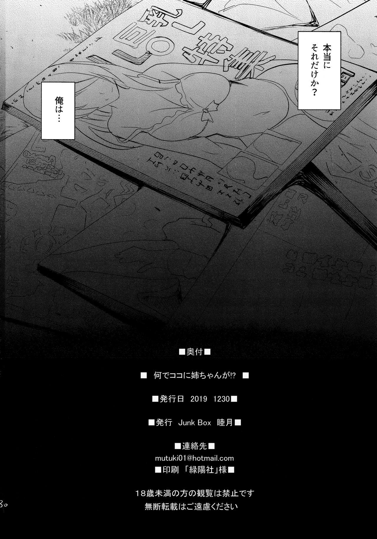 (C97) [Junk Box (Mutsuki)] Nande Koko ni Nee-chan ga!? page 29 full