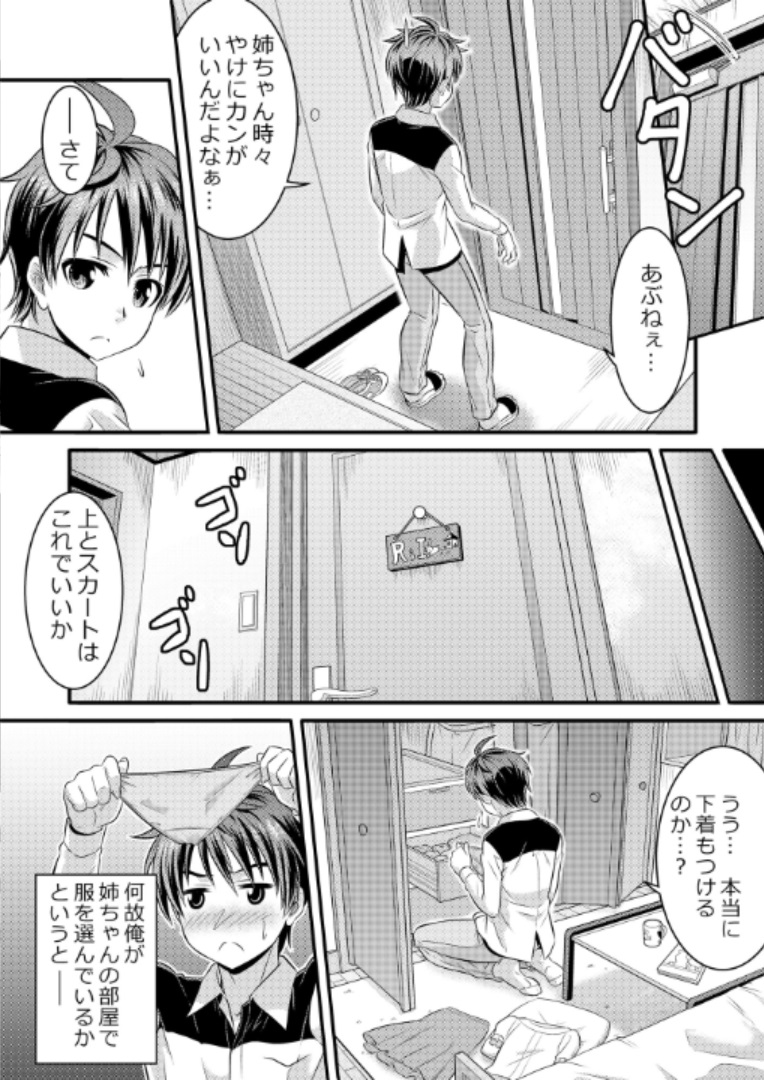 Metamorph ★ Coordination - I Become Whatever Girl I Crossdress As~ [Sister Arc, Classmate Arc] page 3 full