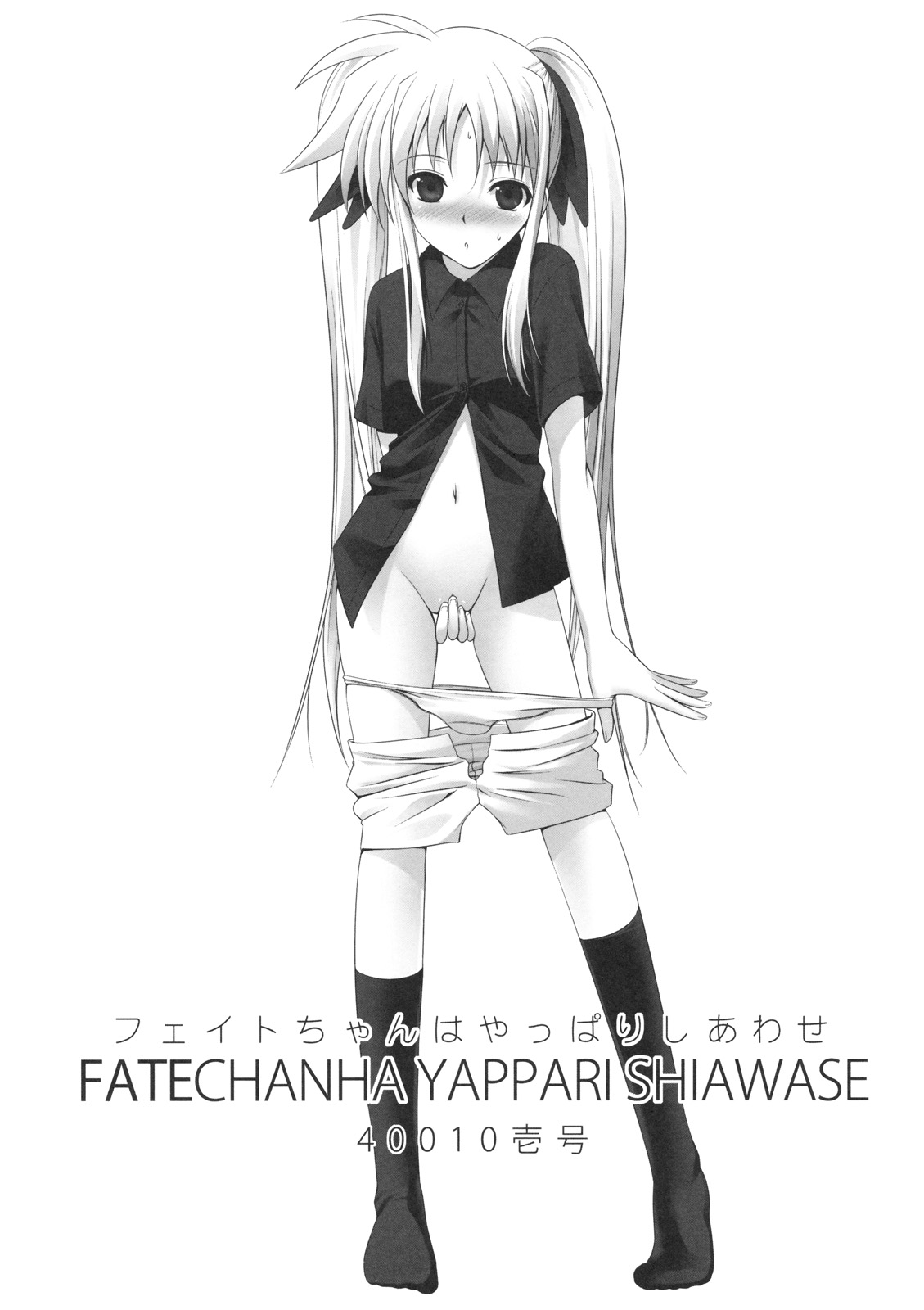 (C74) [40010 1-GO (40010Prototype)] Fate-chan ha Yappari Shiawase (Mahou Shoujo Lyrical Nanoha) page 2 full