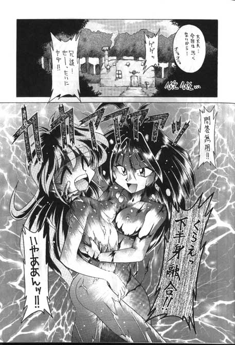 (C48) [Night Stalkers (Hayabusa Heart)] Tottemo Naaga 3 (Slayers) page 6 full