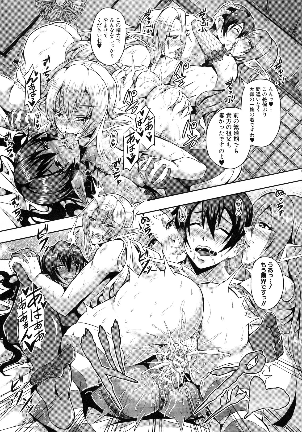 [Mifune Seijirou] Elf Harem Monogatari page 30 full