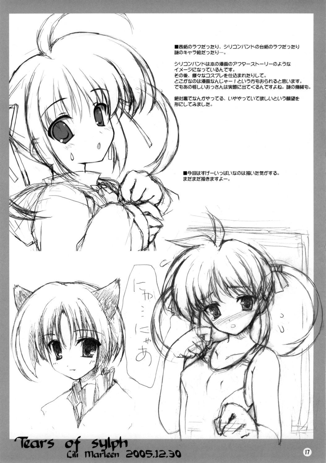 [Lili Marleen (Kinohara Hikaru)] Tears of sylph (Mahou Shoujo Lyrical Nanoha) page 16 full