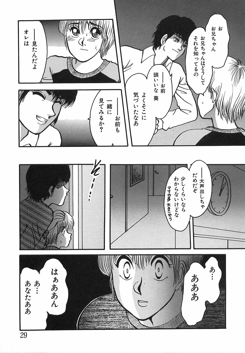 [Rumoi jun] shiawase kazoku (HappyFamily) page 29 full
