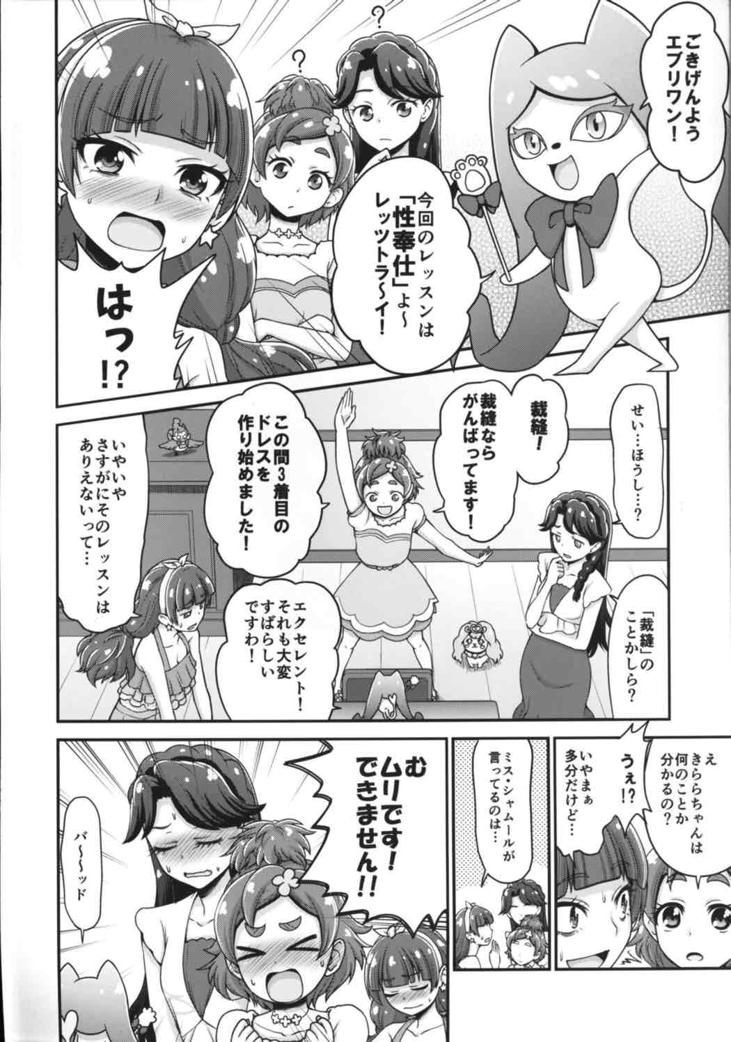 (C88) [Koppun (Hone)] Go! Kirakira Princess Lesson! (Go! Princess PreCure) page 3 full