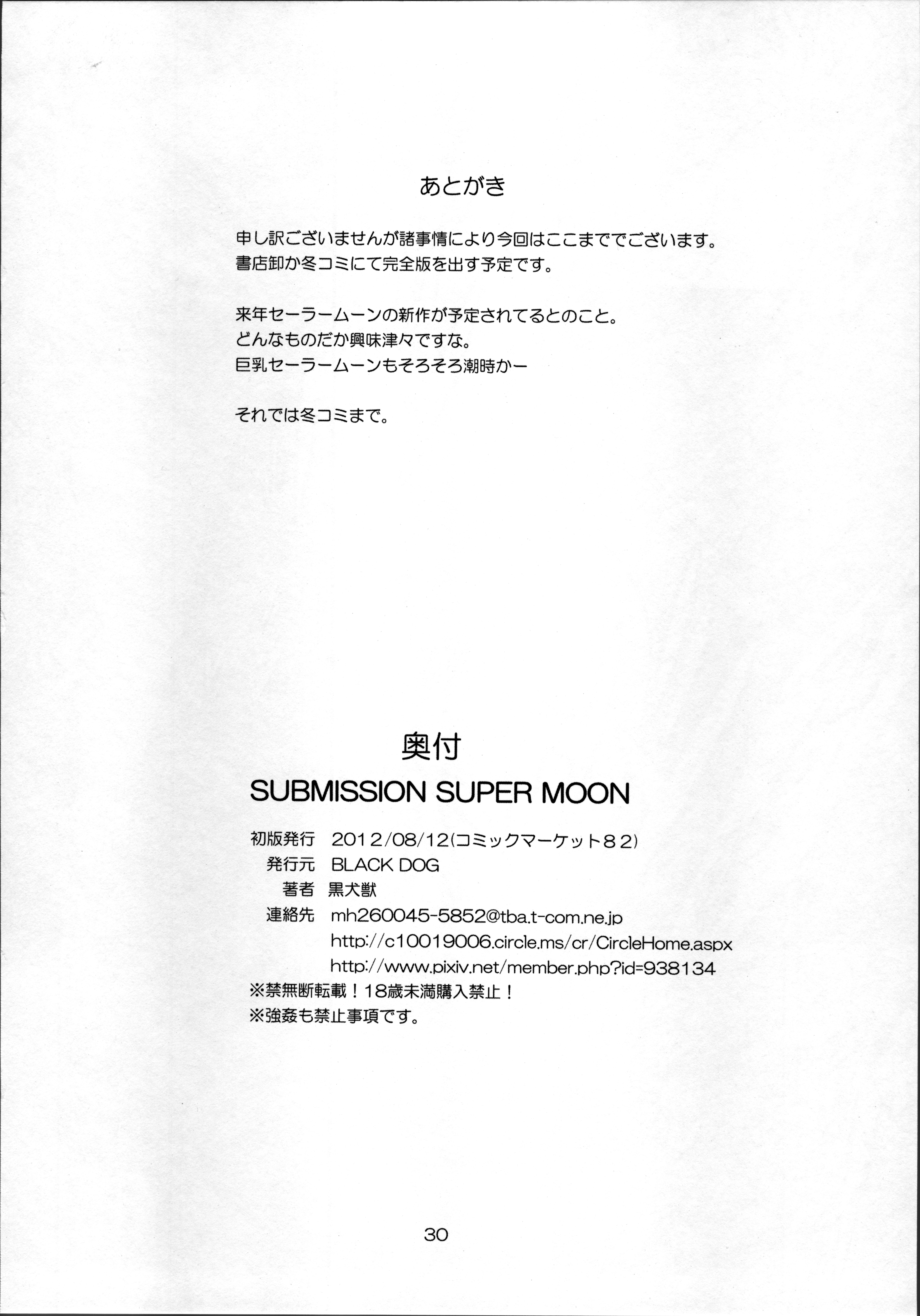 (C82) [BLACK DOG (Kuroinu Juu)] SUBMISSION-SUPER MOON Zanteiban (Bishoujo Senshi Sailor Moon) page 30 full