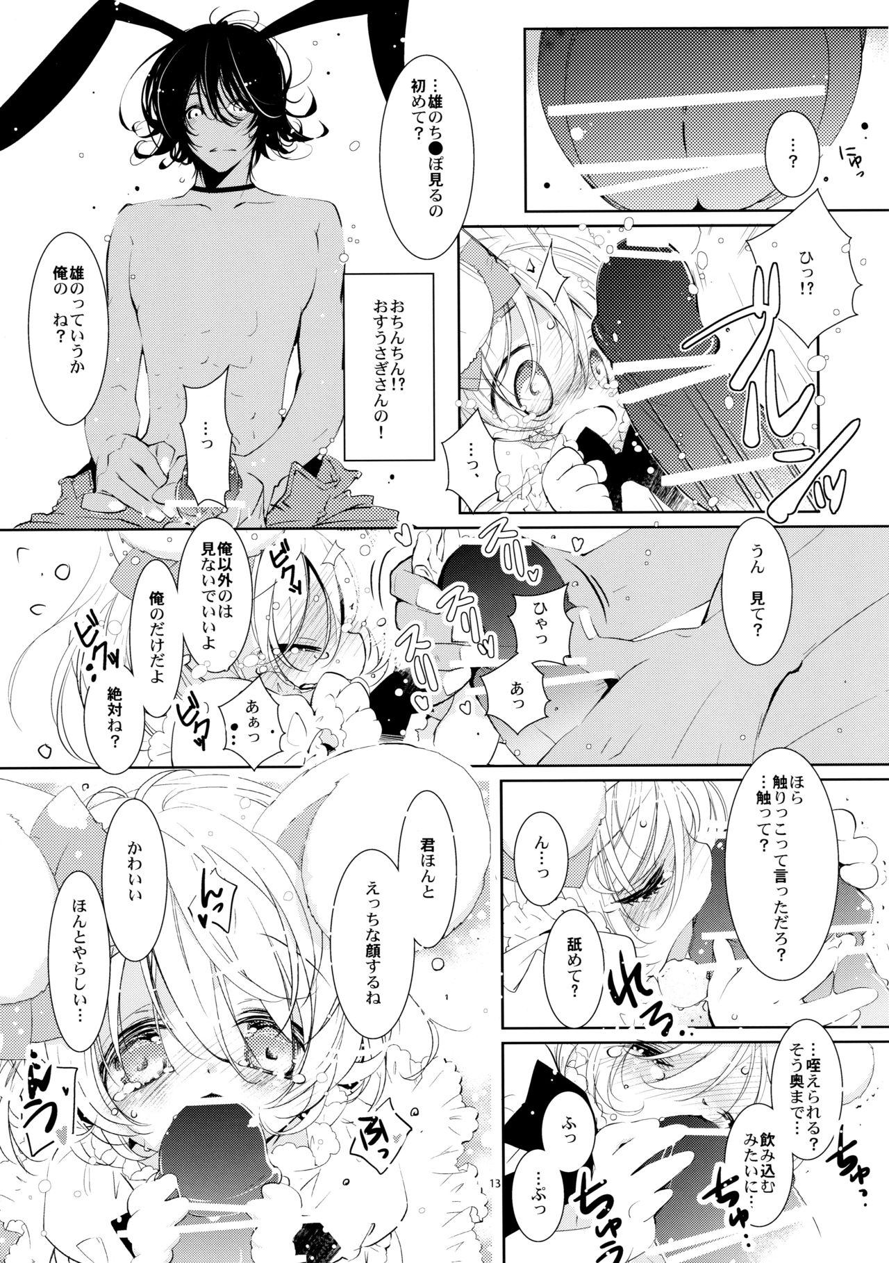 (C90) [PINSIZE Inc. (MITAONSYA)] BLACK AND WHITE RABBIT Soushuuhen page 17 full