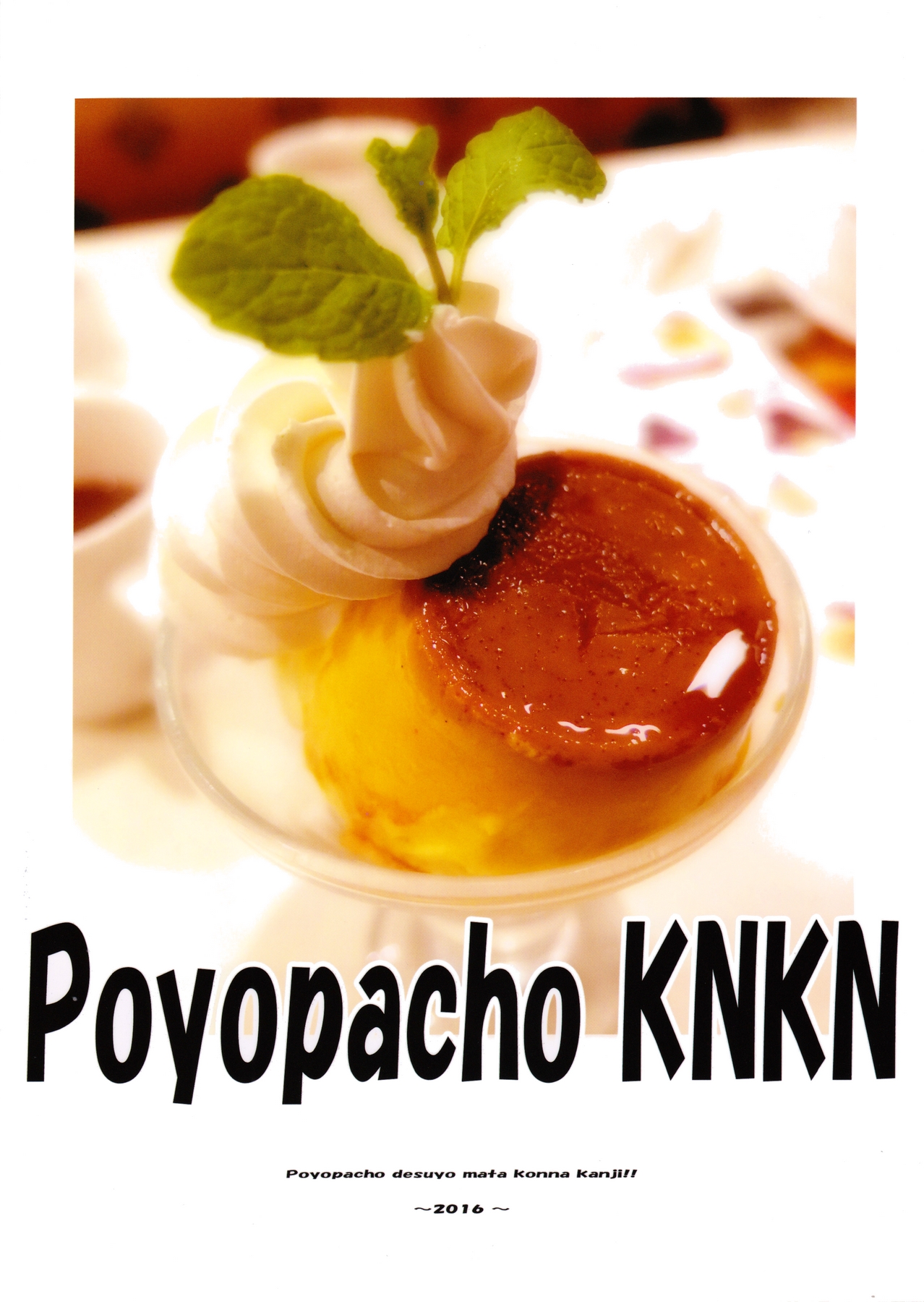 (C90) [Poyopacho (UmiUshi)] Poyopacho KNKN (Macross Delta) page 22 full