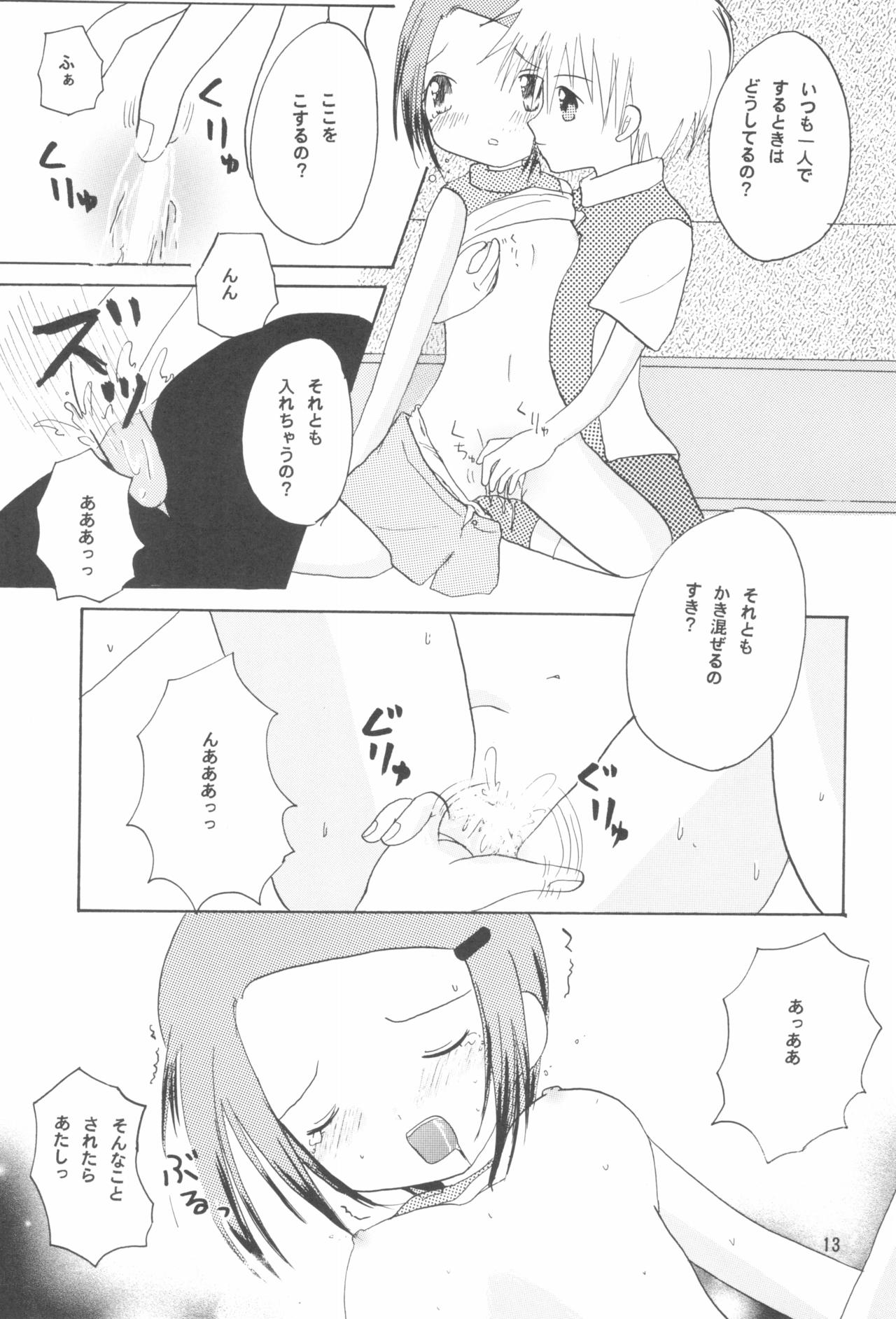 (C59) [Cheese-iri Kamaboko-dou (Mako Cube)] Hikari Mania (Digimon Adventure 02) page 15 full