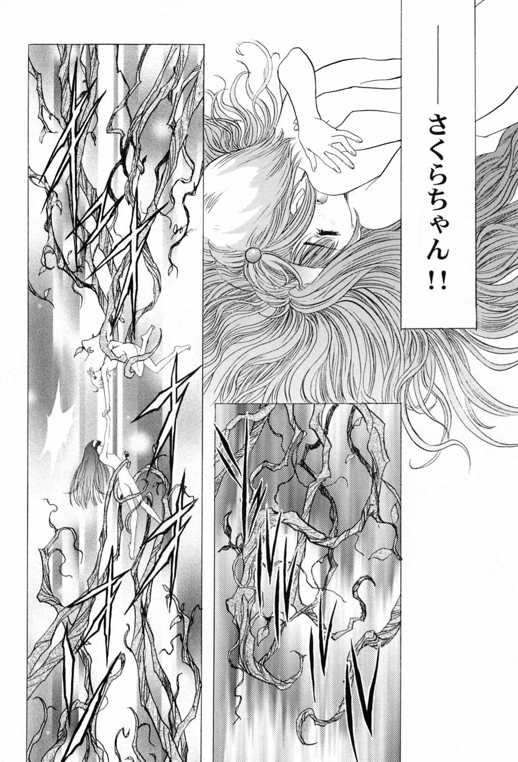 (C58) [Henreikai (Kawarajima Koh)] Sakura Ame ~Final~ Gekan (Card Captor Sakura) page 5 full